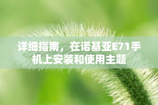 在诺基亚E71手机上安装和使用主题图片