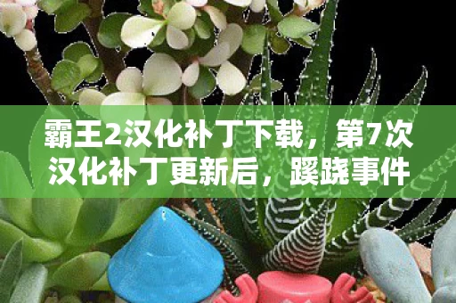 霸王2汉化补丁下载，第7次汉化补丁更新后，蹊跷事件频发，真相让人后背发凉！