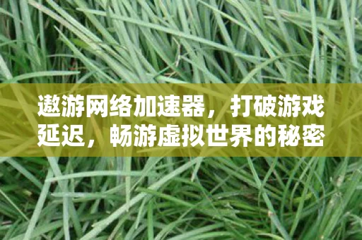 畅游虚拟世界的秘密武器图片