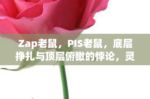 Zap老鼠,PIS老鼠,底层挣扎与顶层俯瞰的悖论,灵魂震颤的自由之问 Zap老鼠,PIS老鼠,底层挣扎与顶层俯瞰的悖论,灵魂震颤的自由之问