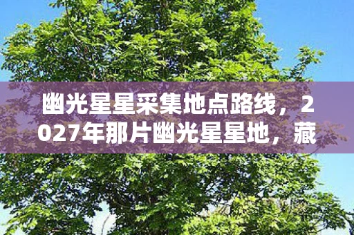 幽光星星采集地点路线，2027年那片幽光星星地，藏着我们的约定，如今想起鼻子一酸
