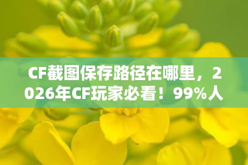 CF截图保存路径在哪里,2026年CF玩家必看!99%人不知的截图路径藏着什么秘密? CF截图保存路径在哪里,2026年CF玩家必看!99%人不知的截图路径藏着什么秘密?