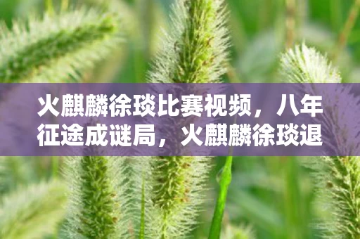 火麒麟徐琰比赛视频,八年征途成谜局,火麒麟徐琰退场泪目无痕 火麒麟徐琰比赛视频,八年征途成谜局,火麒麟徐琰退场泪目无痕