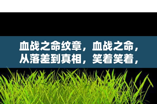 血战之命纹章,血战之命,从落差到真相,笑着笑着,我竟哭了自己 血战之命纹章,血战之命,从落差到真相,笑着笑着,我竟哭了自己