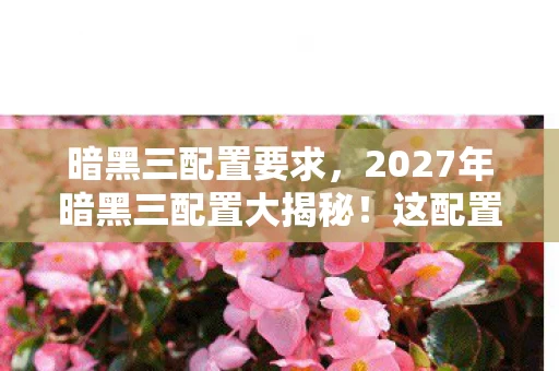 暗黑三配置要求，2027年暗黑三配置大揭秘！这配置要求，玩家直呼炸裂！