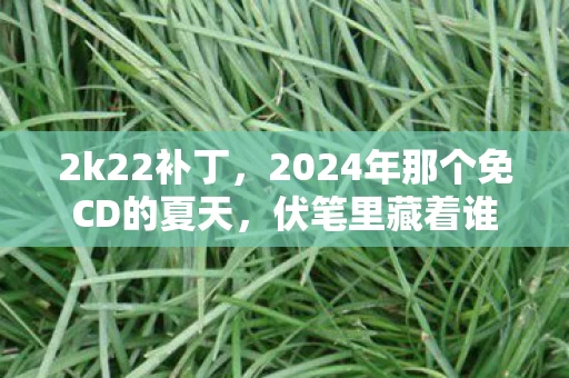 2k22补丁,2024年那个免CD的夏天,伏笔里藏着谁没赴约的约定,鼻子一酸 2k22补丁,2024年那个免CD的夏天,伏笔里藏着谁没赴约的约定,鼻子一酸