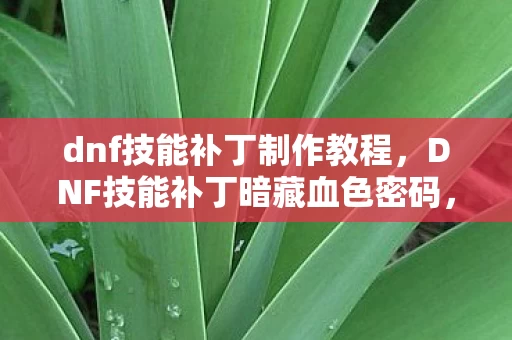 dnf技能补丁制作教程，DNF技能补丁暗藏血色密码，2027年悬案中我竟是困兽之魂