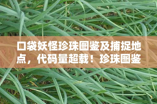 口袋妖怪珍珠图鉴及捕捉地点,代码量超载!珍珠图鉴暗线触发,当你的精灵球开始头皮发麻 口袋妖怪珍珠图鉴及捕捉地点,代码量超载!珍珠图鉴暗线触发,当你的精灵球开始头皮发麻