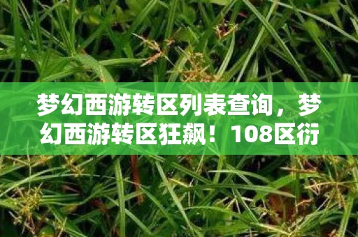 梦幻西游转区列表查询，梦幻西游转区狂飙！108区衍生数破圈，这波联名周边让我冰箱都空了！
