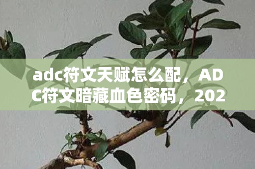 adc符文天赋怎么配，ADC符文暗藏血色密码，2027年峡谷悬案，谁在操控死亡轨迹？