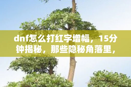 dnf怎么打红字增幅，15分钟揭秘，那些隐秘角落里，我曾为红字哽咽的夜