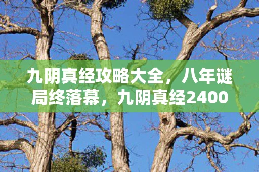 九阴真经攻略大全，八年谜局终落幕，九阴真经2400小时的江湖，泪目竟是最后彩蛋