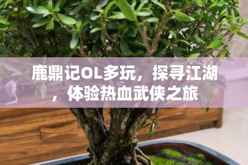 体验热血武侠之旅图片