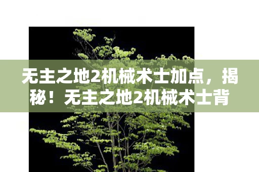无主之地2机械术士加点,揭秘!无主之地2机械术士背后,竟藏着10个颠覆认知的秘密? 无主之地2机械术士加点,揭秘!无主之地2机械术士背后,竟藏着10个颠覆认知的秘密?