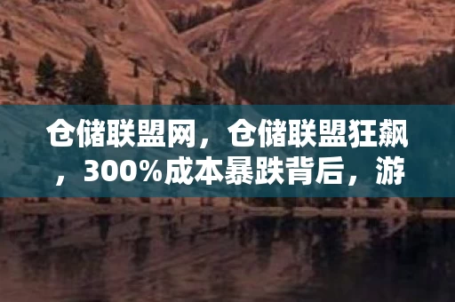 仓储联盟网,仓储联盟狂飙,300%成本暴跌背后,游戏业久违的供应链革命来了 仓储联盟网,仓储联盟狂飙,300%成本暴跌背后,游戏业久违的供应链革命来了