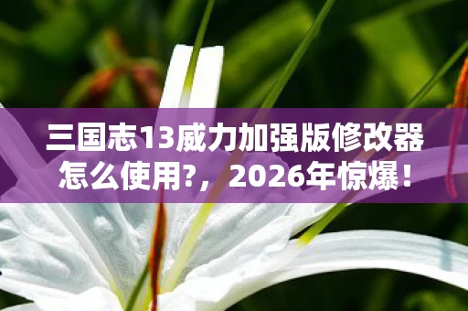 三国志13威力加强版修改器怎么使用?,2026年惊爆!三国志13威力加强版修改器竟藏如此玄机? 三国志13威力加强版修改器怎么使用?,2026年惊爆!三国志13威力加强版修改器竟藏如此玄机?