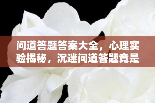 问道答题答案大全,心理实验揭秘,沉迷问道答题竟是多巴胺陷阱?细思极恐! 问道答题答案大全,心理实验揭秘,沉迷问道答题竟是多巴胺陷阱?细思极恐!