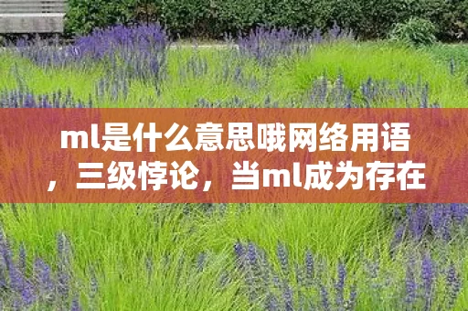 ml是什么意思哦网络用语，三级悖论，当ml成为存在主义审判，你的选择是自由还是宿命？