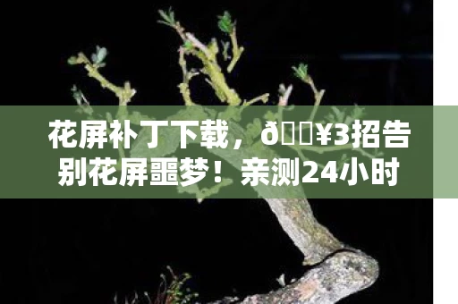 花屏补丁下载，🔥3招告别花屏噩梦！亲测24小时流畅体验，这补丁太神了！