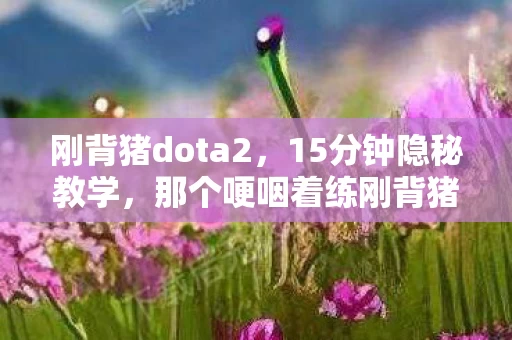 刚背猪dota2,15分钟隐秘教学,那个哽咽着练刚背猪的夜晚,你还记得吗? 刚背猪dota2,15分钟隐秘教学,那个哽咽着练刚背猪的夜晚,你还记得吗?