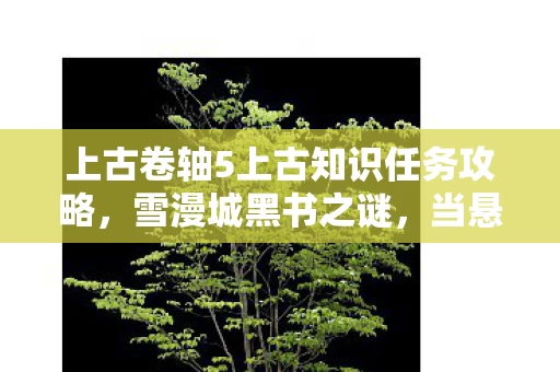 上古卷轴5上古知识任务攻略，雪漫城黑书之谜，当悬案线索指向自己，毛骨悚然真相竟在镜中