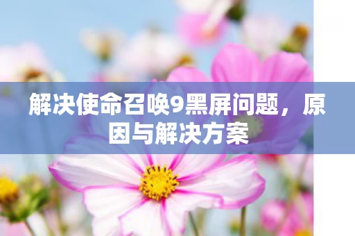 解决使命召唤9黑屏问题图片