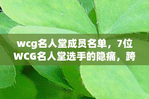 wcg名人堂成员名单,7位WCG名人堂选手的隐痛,跨平台征战15年,谁在深夜独自卸载游戏? wcg名人堂成员名单,7位WCG名人堂选手的隐痛,跨平台征战15年,谁在深夜独自卸载游戏?