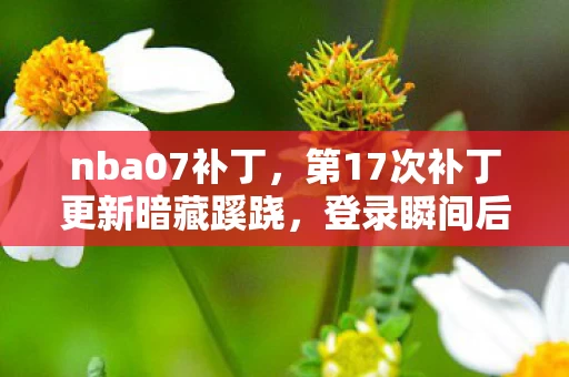 nba07补丁,第17次补丁更新暗藏蹊跷,登录瞬间后背发凉,十年逃亡终成笑话 nba07补丁,第17次补丁更新暗藏蹊跷,登录瞬间后背发凉,十年逃亡终成笑话