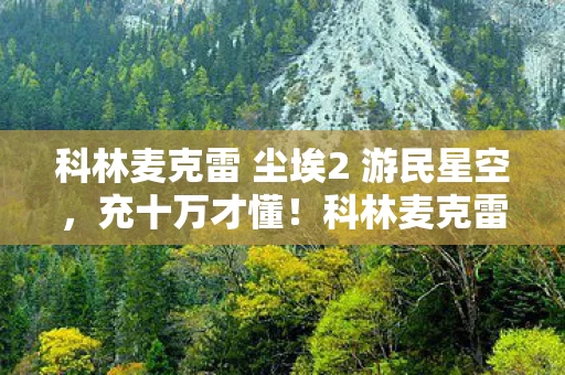 科林麦克雷 尘埃2 游民星空,充十万才懂!科林麦克雷 尘埃2里我竟是待宰的肥羊,吓一跳! 科林麦克雷 尘埃2 游民星空,充十万才懂!科林麦克雷 尘埃2里我竟是待宰的肥羊,吓一跳!
