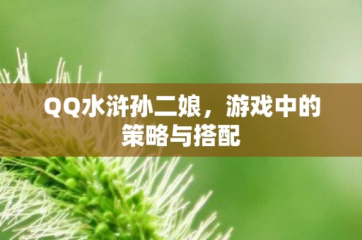 游戏中的策略与搭配图片