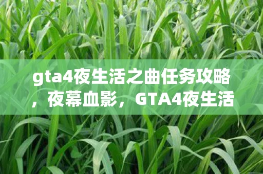 gta4夜生活之曲任务攻略,夜幕血影,GTA4夜生活之曲中的线索迷踪与毛骨悚然悬案 gta4夜生活之曲任务攻略,夜幕血影,GTA4夜生活之曲中的线索迷踪与毛骨悚然悬案