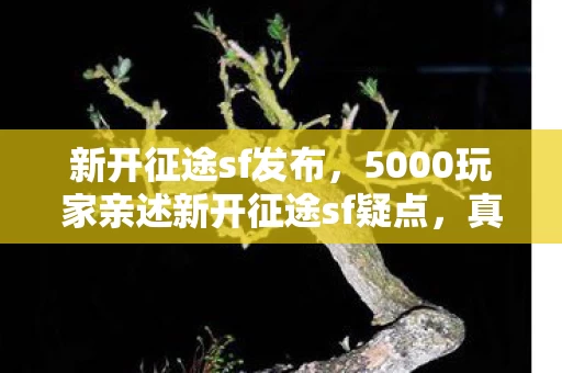 新开征途sf发布,5000玩家亲述新开征途sf疑点,真相揭晓瞬间绷不住了! 新开征途sf发布,5000玩家亲述新开征途sf疑点,真相揭晓瞬间绷不住了!