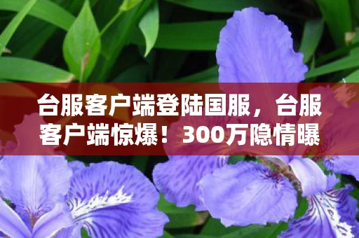 台服客户端登陆国服,台服客户端惊爆!300万隐情曝光,离职老兵掀桌,这操作真让人吓一跳! 台服客户端登陆国服,台服客户端惊爆!300万隐情曝光,离职老兵掀桌,这操作真让人吓一跳!