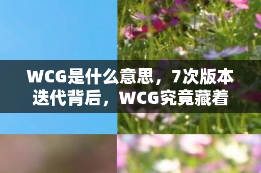 WCG是什么意思,7次版本迭代背后,WCG究竟藏着多少老玩家不敢触碰的真相? WCG是什么意思,7次版本迭代背后,WCG究竟藏着多少老玩家不敢触碰的真相?