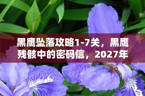 黑鹰坠落攻略1-7关,黑鹰残骸中的密码信,2027年坠机悬案,谁在暗处低语? 黑鹰坠落攻略1-7关,黑鹰残骸中的密码信,2027年坠机悬案,谁在暗处低语?