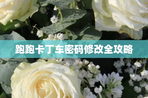 跑跑卡丁车密码修改全攻略图片