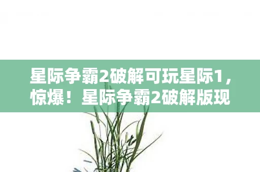 星际争霸2破解可玩星际1，惊爆！星际争霸2破解版现世，玩家狂喜背后竟藏惊天秘密？