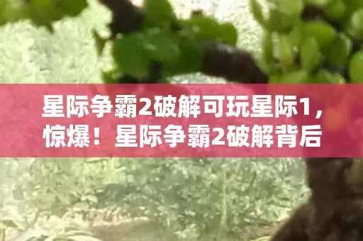 星际争霸2破解可玩星际1,惊爆!星际争霸2破解背后竟藏500万隐情,真相让人吓一跳! 星际争霸2破解可玩星际1,惊爆!星际争霸2破解背后竟藏500万隐情,真相让人吓一跳!