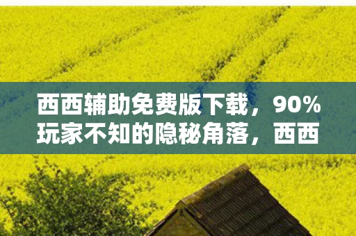 西西辅助免费版下载,90%玩家不知的隐秘角落,西西外挂网,是狂欢还是深渊的入场券? 西西辅助免费版下载,90%玩家不知的隐秘角落,西西外挂网,是狂欢还是深渊的入场券?