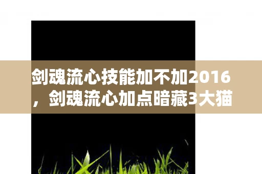 剑魂流心技能加不加2016,剑魂流心加点暗藏3大猫腻!策划这波操作让我直接上头摔键盘 剑魂流心技能加不加2016,剑魂流心加点暗藏3大猫腻!策划这波操作让我直接上头摔键盘
