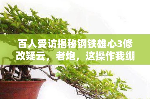 百人受访揭秘钢铁雄心3修改疑云,老炮,这操作我绷不住了! 百人受访揭秘钢铁雄心3修改疑云,老炮,这操作我绷不住了!