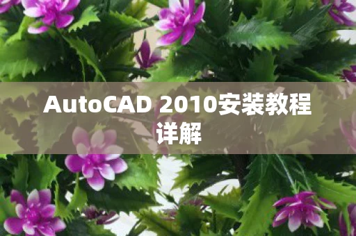 AutoCAD 2010安装教程详解图片