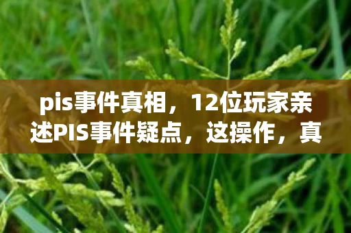 pis事件真相,12位玩家亲述PIS事件疑点,这操作,真绷不住了! pis事件真相,12位玩家亲述PIS事件疑点,这操作,真绷不住了!