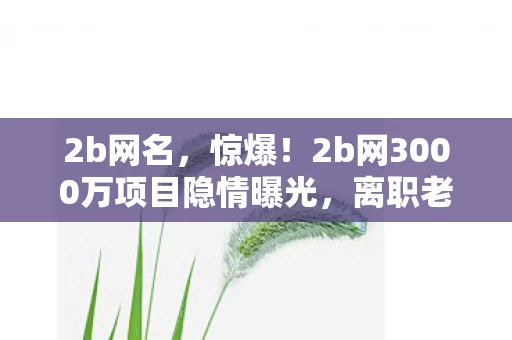 2b网名，惊爆！2b网3000万项目隐情曝光，离职老兵拍桌，这操作真让人吓一跳！