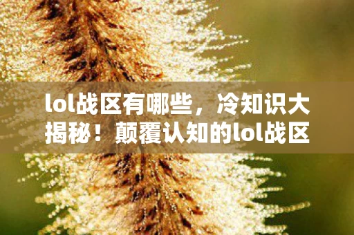 lol战区有哪些,冷知识大揭秘!颠覆认知的lol战区设计,让你目瞪口呆! lol战区有哪些,冷知识大揭秘!颠覆认知的lol战区设计,让你目瞪口呆!