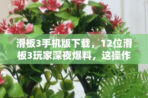滑板3手机版下载,12位滑板3玩家深夜爆料,这操作疑点重重,我直接绷不住了! 滑板3手机版下载,12位滑板3玩家深夜爆料,这操作疑点重重,我直接绷不住了!