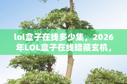 lol盒子在线多少集，2026年LOL盒子在线暗藏玄机，沉默十年后，我为何还在等一局翻盘？