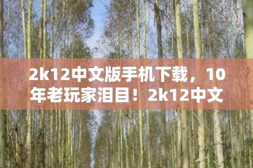 2k12中文版手机下载,10年老玩家泪目!2k12中文版竟藏着这些人的青春密码? 2k12中文版手机下载,10年老玩家泪目!2k12中文版竟藏着这些人的青春密码?