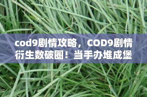 cod9剧情攻略，COD9剧情衍生数破圈！当手办堆成堡垒，冰箱空成黑洞的意想不到