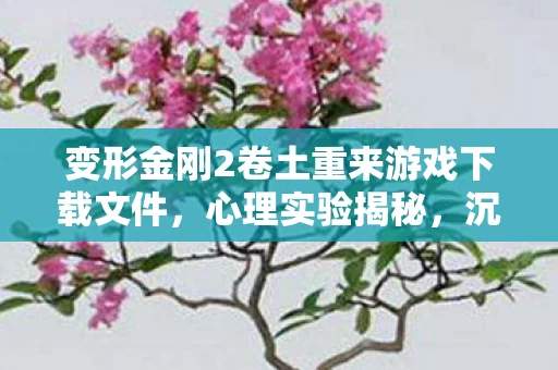 变形金刚2卷土重来游戏下载文件，心理实验揭秘，沉迷变形金刚2三年，细思极恐的自我囚禁